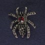 Spider Brooch with Gray and Black Crystals, Dark Silver Color, Silvery Metal 35mm+
