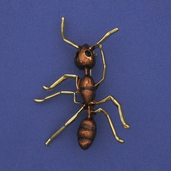 Brooch 'Ant' with Brown Enamel, Golden Metal 42x57mm+