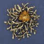 Accent Brooch-Pendant with Yellow Crystal, Rhinestones, Golden Metal 55x62mm+