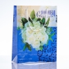 Gift bag 24×18 cm (PE material)