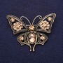 Champagne-Colored Crystal Butterfly Brooch 54x40mm Yellow Metal
