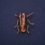 Cockroach Brooch with Green Enamel, Copper Metal, 40x36mm