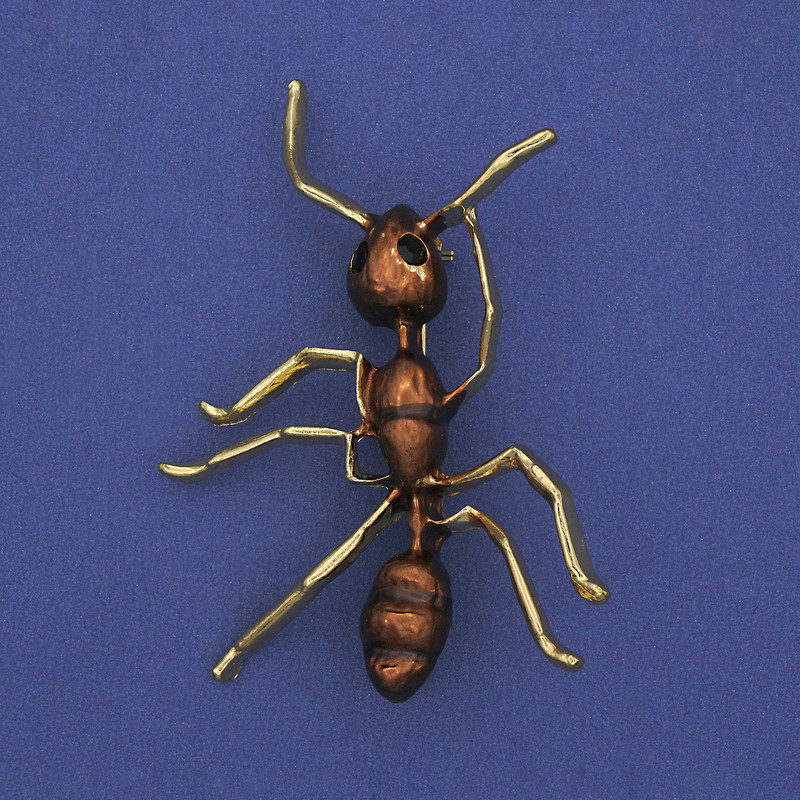 Brooch 'Ant' with Brown Enamel, Golden Metal 42x57mm+