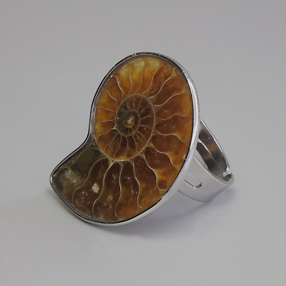 Ammonite Ring 25x30 mm +/- without, silver metal