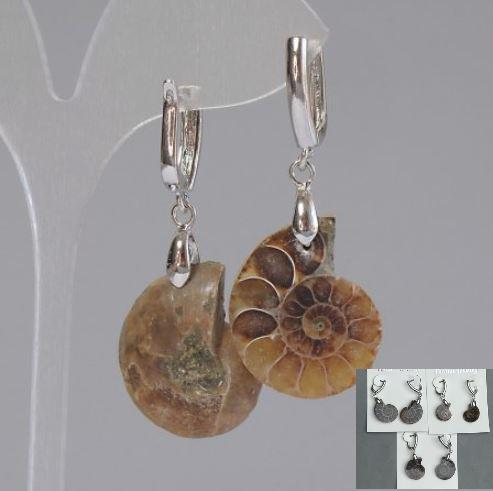 Earrings with natural ammonites, 24×17×6 mm, length ~50 mm, assorted sizes