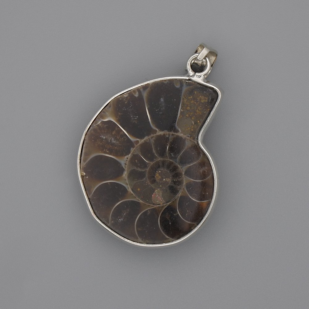 Ammonite pendant in a silver-tone setting, 30x26 mm, length approx. 43 mm, assorted sizes (per piece)