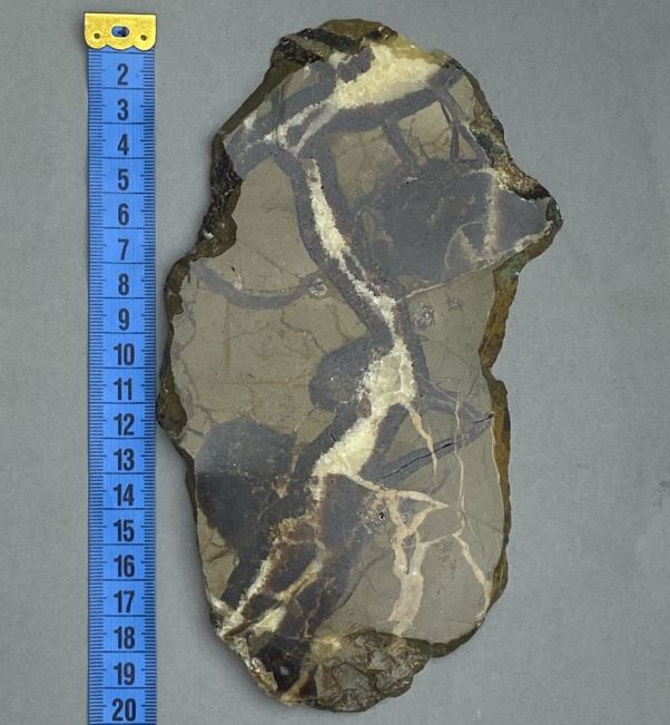 Septarian Natural Stone Plaque, 19 x 11 x 0.9 cm ± (weight 341 g)